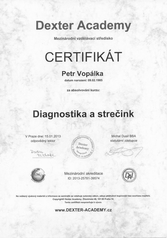 Diagnostika a strčink